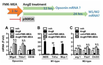 Relative expression of opsonins, M1-type, and M2-type mRNA