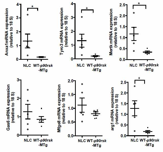 대식세포내 p90RSK 과발현에 따른 대식세포 opsonin-related gene mRNA 분석 결과