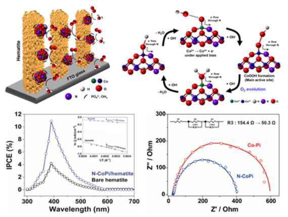 질소가 도핑된 인산 코발트 조촉매가 올라간 hematite 광음극의 물 산화 반응