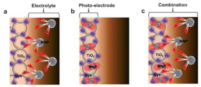 염료 감응형 태양전지 속 은 나노입자들의 3가지 배치: (a) 전해질; (b) 광전극; (c) 전해질과 광전극 모두