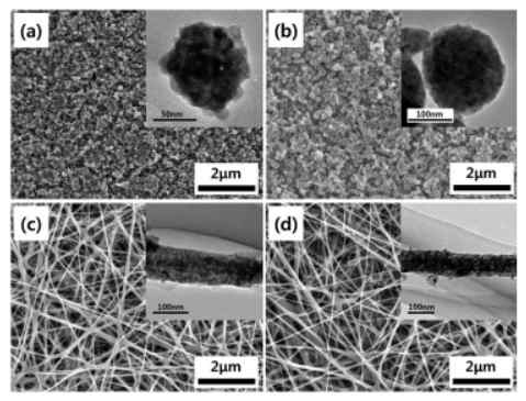(a) 순수 TiO2 나노입자, (b) Gd가 도핑된 TiO2 나노입자, (c) 순수 TiO2 나노섬유, (d) Gd가 도핑된 TiO2 나노 섬유