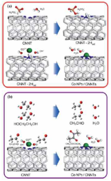 DFT 방법을 통해 계산된 CNNTs 위에 Co 나노입자들이 형성되는 반응 경로 (a) ethylene glycol에서의 sodium hypophophite 환원 반응을 포함하는 경우와 (b) 그렇지 않은 경우