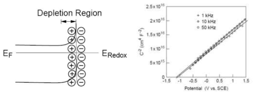 반도체/용액 계면에서의 전하 이중층(좌) 및 n-type 반도체에서의 M-S Plot(우)