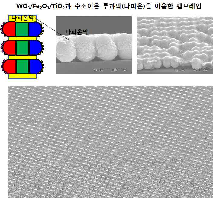 이 과정에서 다양한 노하우를 획득하였으며 이러한 방법론으로 다양한 조합의 세 가지 물질 이상으로 구성된 나노막대와 나피온 등 양성자 수송막으로 구성된 양성자/전자 동시 수송막을 개발 할 수 있는 기초연구를 완성하였다