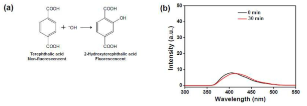 TPA의 OH radical 반응식 (a) 및 Fluorescence spectra (b)