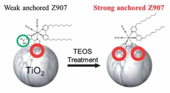TEOS의 처리를 통한 Z907 염료의 흡착력 강화