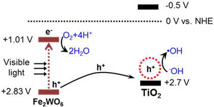 Fe2WO6/TiO2 접합구조에서 전하이동 diagram