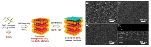 CoS 나노파티클과 정렬된 SnO2 필름으로 구성된 촉매의 제조 방법과 표면 사진(SEM) (Nanoscale, 2015, 7, 670)