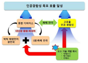 인공광합성용 디바이스 광전극 개발의 기여 모식도