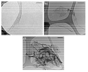 a) graphene oxide, b) g-C3N4 nanosheet, c) g-C3N4/graphene 혼성체의 TEM 이미지 (100nm scale bar 하에서 측정)