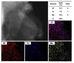 NiFeMo 과수산화물의 STEM 이미지 및 EDS 매핑 이미지