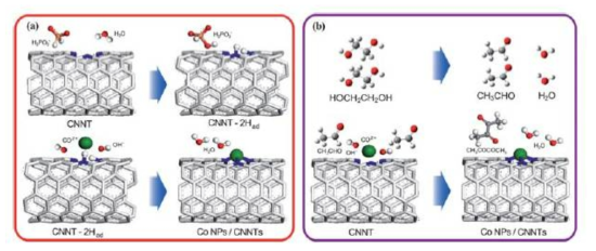 DFT 방법을 통해 계산된 CNNTs 위에 Co 나노입자들이 형성되는 반응 경로 (a) ethylene glycol에서의 sodium hypophophite 환원 반응을 포함하는 경우와 (b) 그렇지 않은 경우