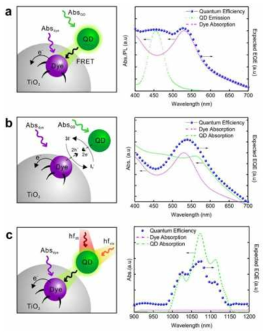 광대역 에너지 전달 메커니즘(왼쪽)과 예측 가능한 스펙트럼(오른쪽). (a) FRET, (b) Co-sensitization, (c) 2광자 흡수