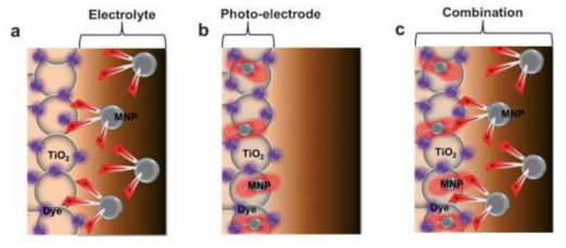염료 감응형 태양전지 속 은 나노입자들의 3가지 배치: (a) 전해질; (b) 광전극; (c) 전해질과 광전극 모두