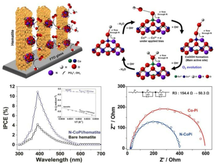 질소가 도핑된 인산 코발트 조촉매가 올라간 hematite 광음극의 물 산화 반응