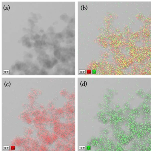 (a) TEM image, (b) Co and Fe, (c) Co, (d) Fe의 EDAX