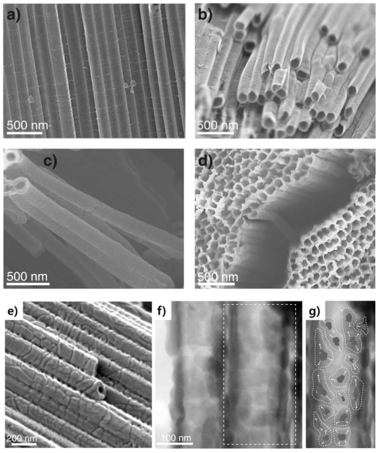 (a) 전기양극산화법으로 성장시킨 TiO2 나노튜브. (b) 아나타제상으로 변환시키기위해 열처리를 한 후의 TiO2 나노튜브. (c) 글루코스 수용액에 담가 열처리 하여 겔 형태의 글루코스가 묻어 있는 TiO2 나노튜브. 모든 반응이 종료된 후의 TiO2 나노튜브의 (d) 윗면과 (e) 옆면의 모습. (f) (e)의 STEM 사진. g) (f)의 흰 점선 네모 부분. 열분해과정을 통해 형성되는 흑연구조의 탄소막의 개략도