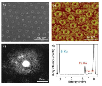 Fe/SiO2 조성을 이용한 이종나노 입자의 합성 및 구조 분석. (a) SEM 분석, (b) AFM 분석, (c) STEM 분석, (d) TXRF 분석