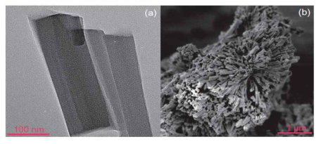 (a) MOF 광촉매의 HRTEM 이미지, (b) MOF 광촉매의 HRSEM 이미지