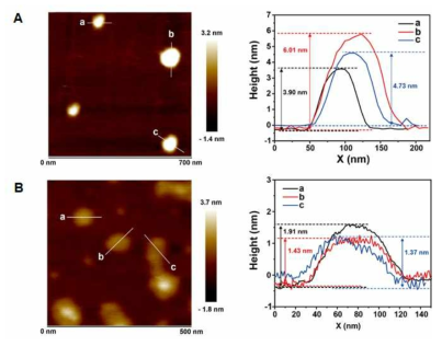(A) 플라즈마 처리가 되지 않은 니켈-알루미늄 이중층상 수산화물의 AFM 이미지 및 그에 해당하는 cross section 두께 (B) 플라즈마 처리 된 니켈-알루미늄 나노 층상 구조의 AFM 이미지 및 그에 해당하는 cross section 두께