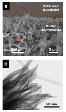 다공성 니켈 폼에 성장 시킨 NiFeMo 과수산화물의 (a) SEM 이미지 및 (b) TEM 이미지