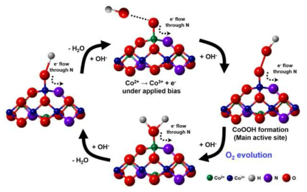 N-CoPi에서 일어나는 물 산화 반응의 단계별 모식도