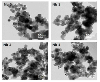 나이오븀이 0, 1, 2, 5 % 도핑된 바륨주석산화물의 TEM 이미지