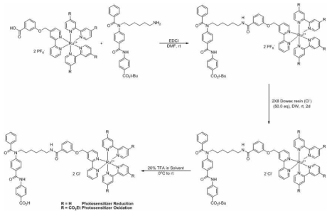 Amide 짝지음 반응으로 분자촉매 모듈 합성