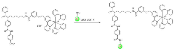 Amide 짝지음 반응으로 연결되는 분자촉매 모듈 합성(I)