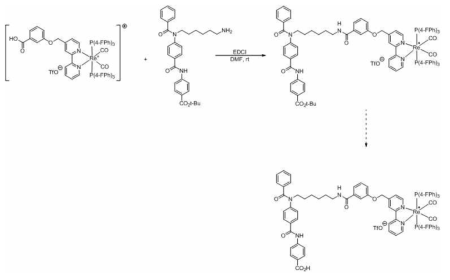 Amide 짝지음 반응으로 분자촉매 모듈 합성(II)