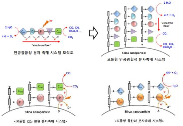 모듈형 인공광합성 분자 촉매 시스템 모식도