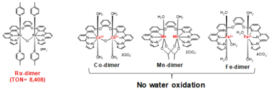 Pyrazole 기반 Dimeric 물 산화 촉매의 활성도