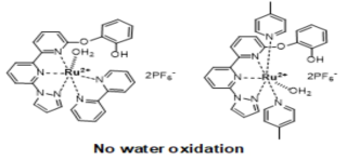 Ru-pyrazole-catechol 기반 monomeric 물 산화 촉매의 활성도
