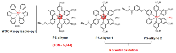 WOC-Ru-pyrazole+pyr 물 산화 촉매와 PS-alkyne 광촉매의 물 산화 효과