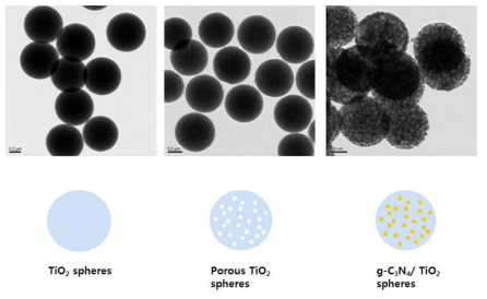 g-C3N4/TiO2 합성과정에 대한 TEM
