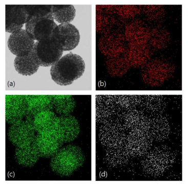 g-C3N4/TiO2 element mapping image