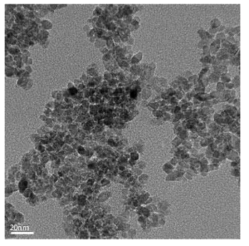 합성한 anatase TiO2의 투과전자현미경(TEM)