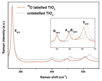 합성한 anatase TiO2의 Raman spectra
