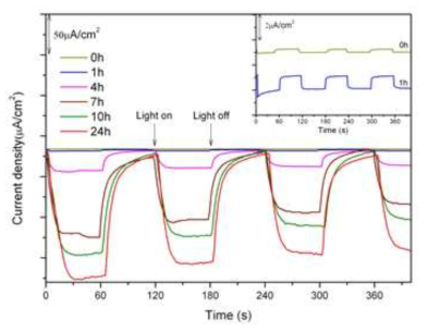 [iO2@TiN1-xOx 촉매의 chronoamperometry measurement 실험