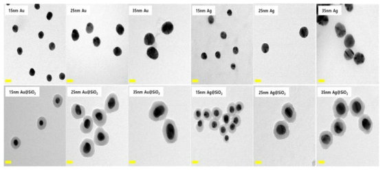 합성한 플라즈모닉 나노입자들의 TEM 이미지(scale bar: 20nm)