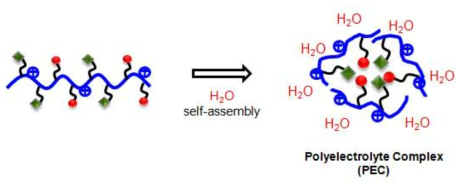 고분자전해질 복합체 자기조립 모식도