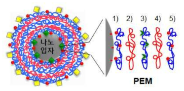 고분자 전해질 복합체 적층 나노입자 모식도