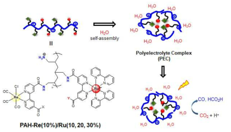 고분자 전해질 복합체 자기조립 모식도