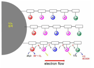 모듈형 인공광합성 분자촉매 시스템 모식도