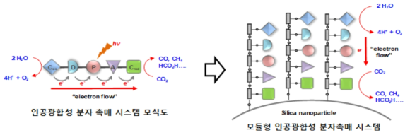 모듈형 인공광합성 분자 촉매시스템 모식도