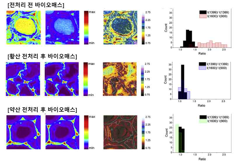 전처리 전·후 바이오매스의 세포벽 구조에 대한 라만 이미지