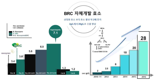 BRC 가수분해 효소 대량생산 기술개발 도식도