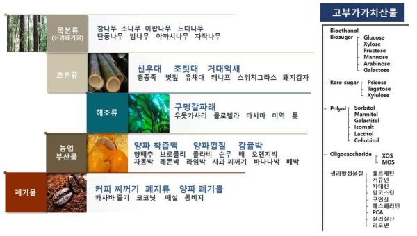 바이오에너지연구소(BRC)에서 연구한 다양한 바이오매스 종류 및 고부가가치 산물