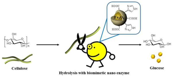 인공 나노 효소를 이용한 셀룰로오스 당화 과정