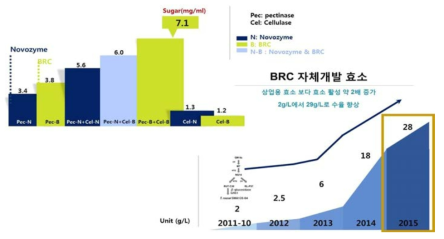 바이오에너지 연구소의 자체 개발 효소 대량 생산 기술